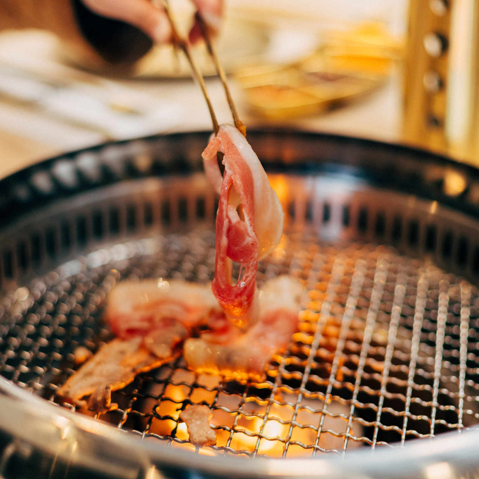 Kogicoals 2025 8345 Cropped